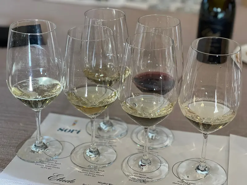 Wine glasses at an illustrative tasting in California, not at any of the listed Oviedo bars